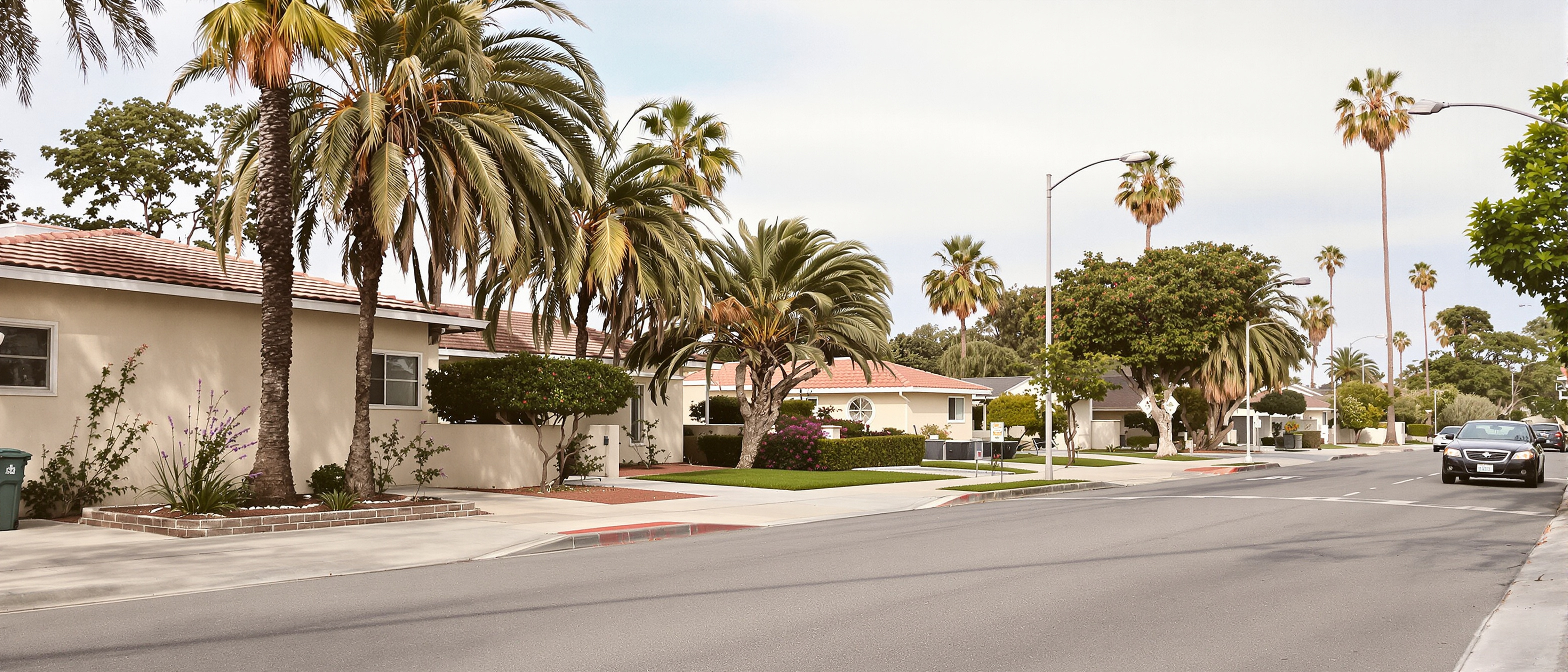 A quiet residential street in Bixby Knolls, Long Beach: mid-century homes with stucco walls and tile roofs, mature palms and a jacaranda casting soft shade, an empty street in calm overcast morning light